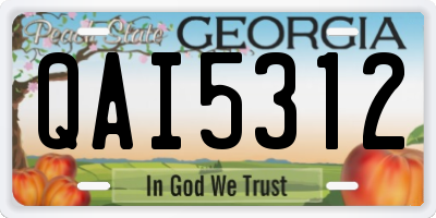 GA license plate QAI5312