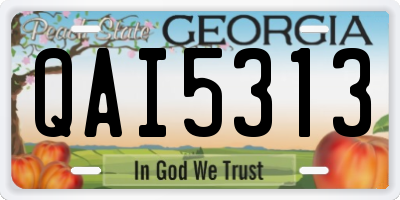 GA license plate QAI5313