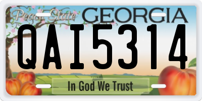 GA license plate QAI5314