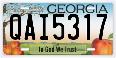 GA license plate QAI5317