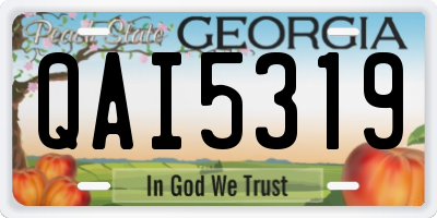 GA license plate QAI5319