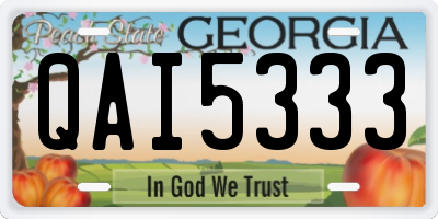 GA license plate QAI5333