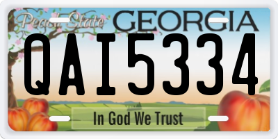 GA license plate QAI5334