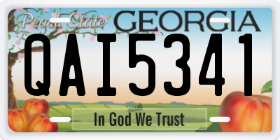 GA license plate QAI5341