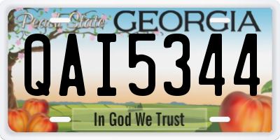 GA license plate QAI5344