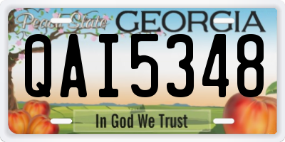 GA license plate QAI5348
