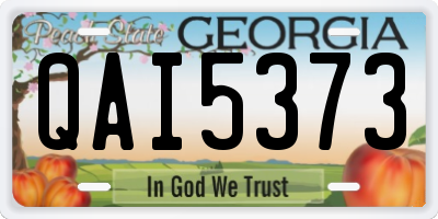 GA license plate QAI5373