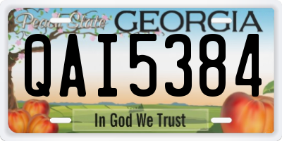 GA license plate QAI5384