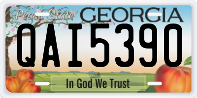 GA license plate QAI5390