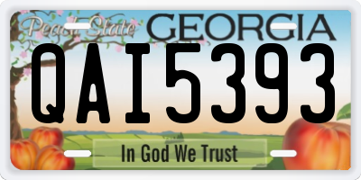 GA license plate QAI5393