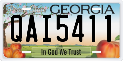 GA license plate QAI5411