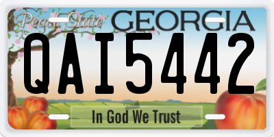 GA license plate QAI5442