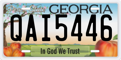 GA license plate QAI5446