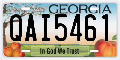 GA license plate QAI5461