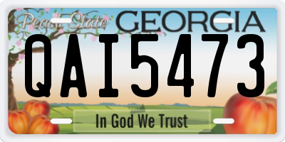 GA license plate QAI5473