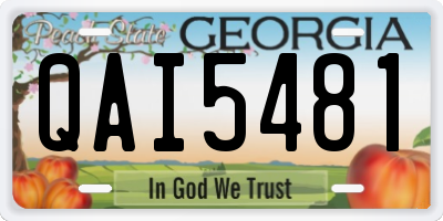 GA license plate QAI5481