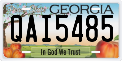 GA license plate QAI5485