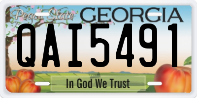 GA license plate QAI5491