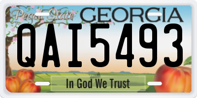 GA license plate QAI5493