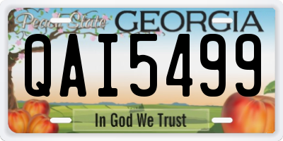 GA license plate QAI5499