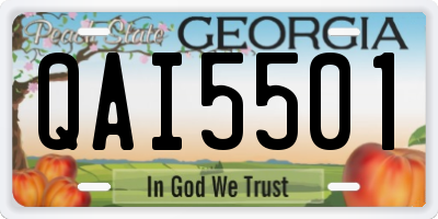 GA license plate QAI5501