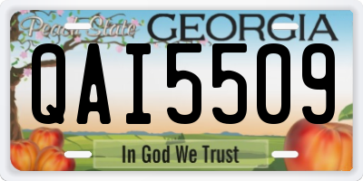 GA license plate QAI5509