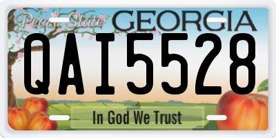 GA license plate QAI5528