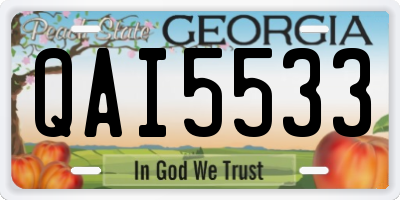 GA license plate QAI5533