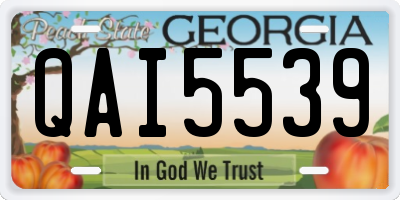 GA license plate QAI5539