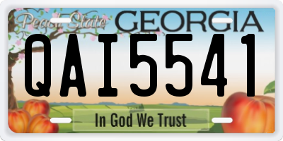 GA license plate QAI5541