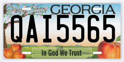 GA license plate QAI5565