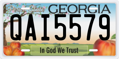 GA license plate QAI5579