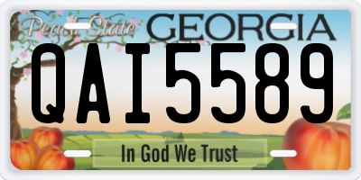 GA license plate QAI5589