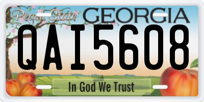 GA license plate QAI5608