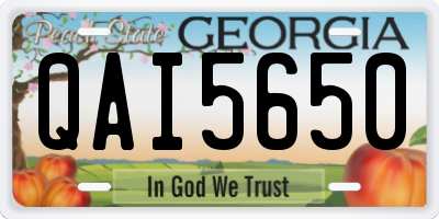 GA license plate QAI5650