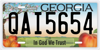 GA license plate QAI5654
