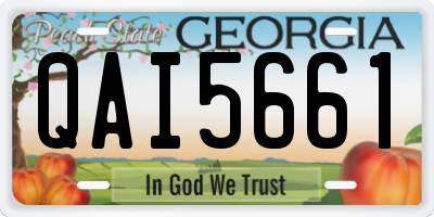 GA license plate QAI5661