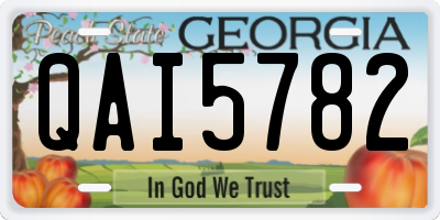 GA license plate QAI5782