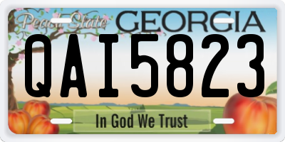 GA license plate QAI5823