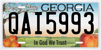 GA license plate QAI5993