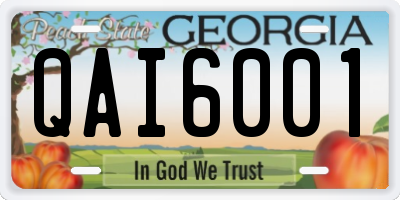 GA license plate QAI6001
