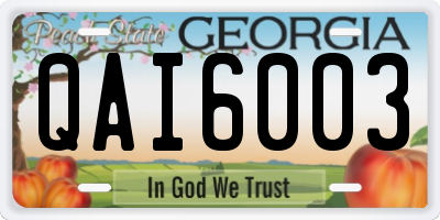 GA license plate QAI6003