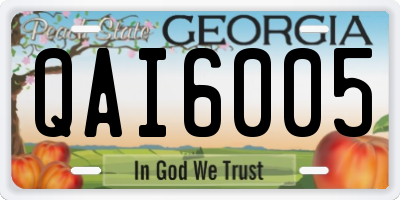 GA license plate QAI6005