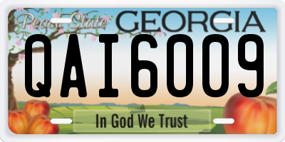 GA license plate QAI6009