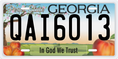 GA license plate QAI6013
