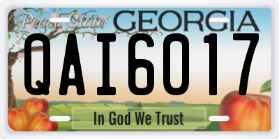 GA license plate QAI6017