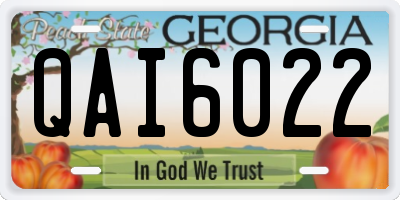 GA license plate QAI6022