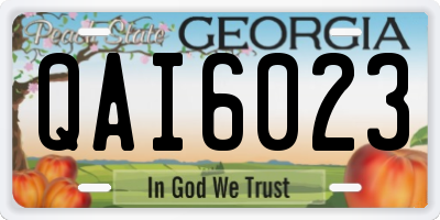 GA license plate QAI6023