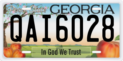 GA license plate QAI6028