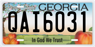 GA license plate QAI6031